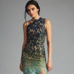 Elliatt Karolina Ombre Lace One Shoulder Sheer Gown Maxi Dress Anthropologie - M